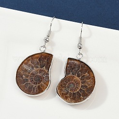 Fossil Spiral Dangle Earrings&nbsp;EJEW-P153-01