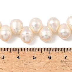 Natural Cultured Freshwater Pearl Beads Strands&nbsp;PEAR-I007-04G-01A