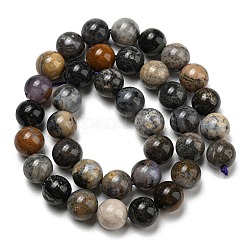 Natural Dendritic Jasper Beads Strands&nbsp;G-R494-A23-04