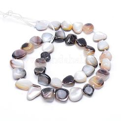 Natural Sea Shell Bead Strands&nbsp;SSHEL-S251-02
