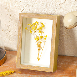 MDF(Middle Density Fibreboard) Photo Frame&nbsp;DJEW-GF0001-22A