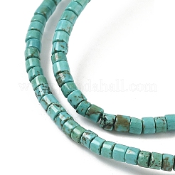 Dyed Natural Magnesite Beads Strands&nbsp;G-M448-C01-01