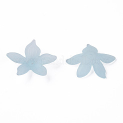 Transparent Acrylic Beads&nbsp;MACR-S373-127-D02