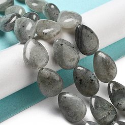 Natural Labradorite Beads Strands&nbsp;G-P528-L03-01