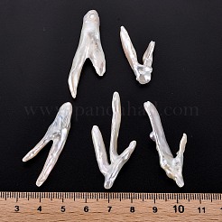 Natural Keshi Pearl Beads&nbsp;PEAR-N020-P01