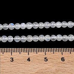 Natural Rainbow Moonstone Beads Strands&nbsp;G-P602-4mm-01A