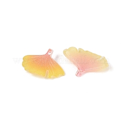 Heat Shrink Acrylic Pendants&nbsp;OACR-N164-09