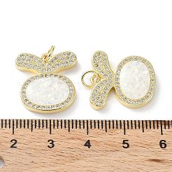 Rack Plating Brass Micro Pave Cubic Zirconia Pendants&nbsp;KK-C041-12G