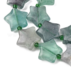 Natural Fluorite Beads Strands&nbsp;G-K359-E14