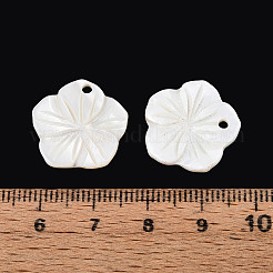 Natural Freshwater Shell Carved Pendants&nbsp;SHEL-N038-13