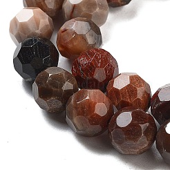 Natural Petrified Wood Beads Strands&nbsp;G-C150-B01-02