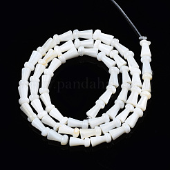 Natural Freshwater Shell Beads Strands&nbsp;SHEL-N026-199