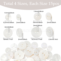 60Pcs 4 Styles Shell Buttons&nbsp;BUTT-SP0001-17