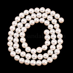 Electroplated Shell Pearl Beads Strands&nbsp;BSHE-C011-01A