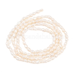 Natural Cultured Freshwater Pearl Beads Strands&nbsp;PEAR-D003-01D-02