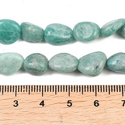Natural Amazonite Beads Strands&nbsp;G-P606-A01-01