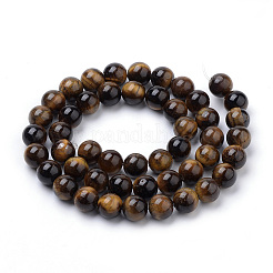 Natural Tiger Eye Beads Strands&nbsp;G-S259-21-12mm