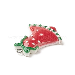 Opaque Resin Pendants&nbsp;RESI-C021-01L