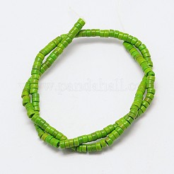 Dyed Synthetic Turquoise Beads Strands&nbsp;G-P083-6mm-83E