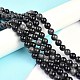 Natural Silver Obsidian Beads Strands&nbsp;G-D083-01B-4