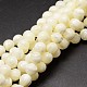 Shell Beads Strands&nbsp;SSHEL-E571-39-4mm-1