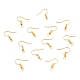 Iron Earring Hooks&nbsp;E135-NFG-3