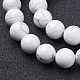 Natural Howlite Beads Strands&nbsp;GSR12mmC015-2