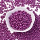 Baking Paint Glass Seed Beads&nbsp;SEED-S003-K31-1