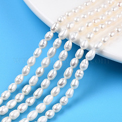 Natural Cultured Freshwater Pearl Beads Strands, Rice, Seashell Color, 5~6.5x3.5~4mm, Hole: 0.7mm, about 58~67pcs/strand, 12.99 inch(33cm)