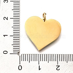 Pride 304 Stainless Steel Enamel Pendants&nbsp;STAS-B079-01G-03