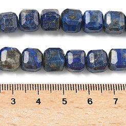 Natural Lapis Lazuli Beads Strands&nbsp;G-C267-A02
