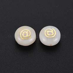 Natural Freshwater Shell Beads&nbsp;LS-SHEL-N003-22-08