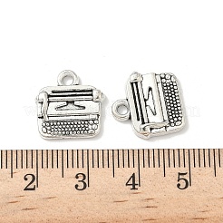 Tibetan Style Alloy Charms&nbsp;FIND-B050-28AS