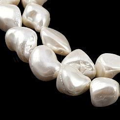 Shell Pearl Beads Strands&nbsp;BSHE-C008-01