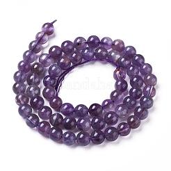 Natural Amethyst Round Bead Strands&nbsp;G-L170-6mm-03