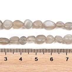 Natural Grey Moonstone Beads Strands&nbsp;G-G464-A02-01