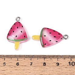 Transparent Resin Pendants&nbsp;RESI-T059-07