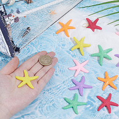 30Pcs 6 Colors Opaque Resin Cabochons&nbsp;AJEW-GF0013-81