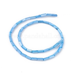 Natural Freshwater Shell Dyed Beads Strands&nbsp;X-SHEL-M018-11-06