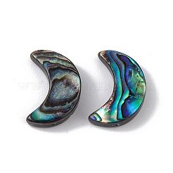 Natural Abalone Shell/Paua Shell Beads&nbsp;SSHEL-M021-08