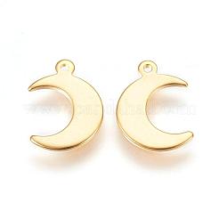 304 Stainless Steel Charms&nbsp;STAS-H557-31G