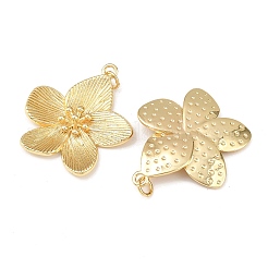 Brass Pendants&nbsp;X-KK-L255-04G