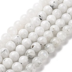 Natural Rainbow Moonstone Beads Strands&nbsp;G-I249-B04-03