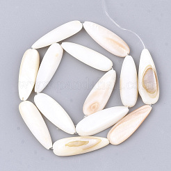 Natural Freshwater Shell Beads Strands&nbsp;X-SHEL-S274-73