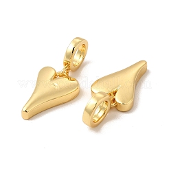 Rack Plating Brass European Dangle Charms&nbsp;KK-B068-30G
