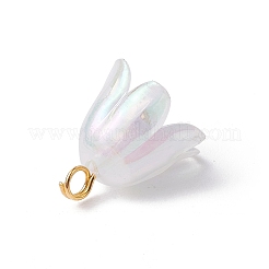 Acrylic Flower Charms&nbsp;PALLOY-JF02544