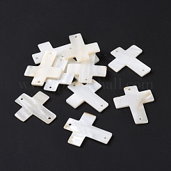 Natural Freshwater Shell Connector Charms&nbsp;SSHEL-C011-05