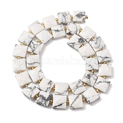 Natural Howlite Beads Strands&nbsp;G-F839-A35-01