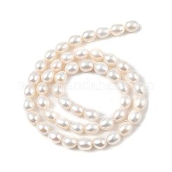 Natural Cultured Freshwater Pearl Beads Strands&nbsp;PEAR-I007-01D-02A