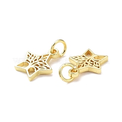 Rack Plating Brass Charms&nbsp;KK-F849-05G